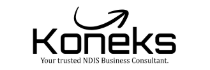 NDIS Business Consultant